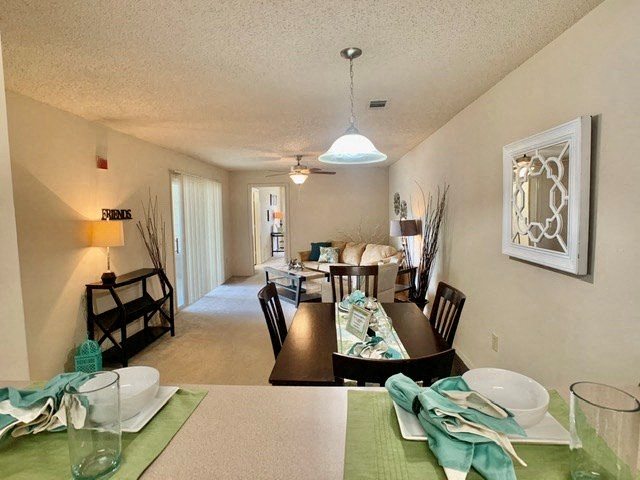 Photos and Video of Tivoli Apartments in Gainesville, FL